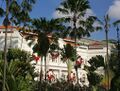 Abu Raffles Hotel Resort.jpg