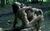 MudSex01.jpg