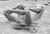 Swimmers01.jpg