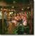 Tikibar.jpg