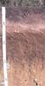 Soil profile.jpg