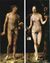 Durer Adam and Eve s.jpg