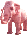 Pink elephant.gif