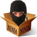 Ninja-in-a-box.jpg