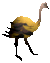 Small shadow ostrich.gif