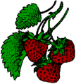 Strawberry14.png