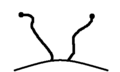 Thumbnail for version as of 23:11, 12 July 2007