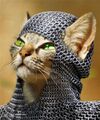 Medieval-kitty-photomanipulation.jpg