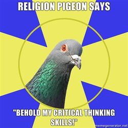Religion-pigeon-says-behold-my-critical-thinking-skills.jpg