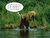 OCDbear.png