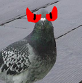 Evilpigeon.png