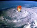 Hurricane Wilma.jpg