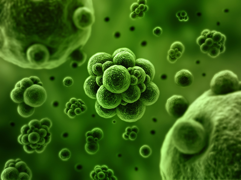File:InfectionEbola.png