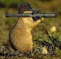 Squirrel bazooka.jpg
