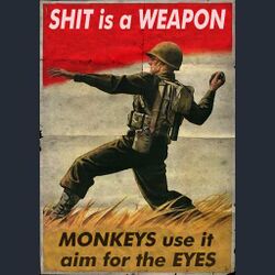 Shit is a weapon.jpg