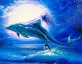Mermaid with dolphin.jpg
