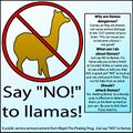 Say NO to llamas.jpg