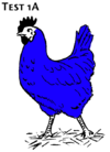 BlueChicken.png