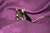 Mousey.png