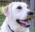 Thumbnail for version as of 00:29, 17 October 2006