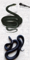 Snakes.png