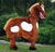Pantohorse3.jpg