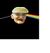 Darkside.jpg