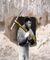 Quarry.jpeg