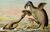 Brontornis VS. Hadrosaur.jpg