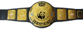 WWE Title Belt.png