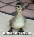 Internet-hate-machine.jpg