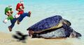 Mario and Luigi jumping on turtles at the beach.jpg