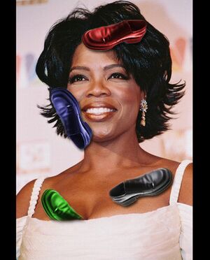 Oprah's Shoes