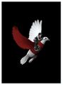 Nazi Pigeon.jpg