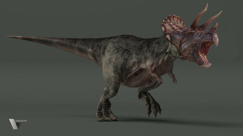 File:Tricera rex.jpg