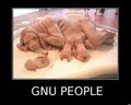 Gnu-people.jpg