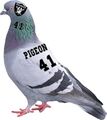 Raider-Pigeon.jpg