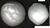 White=eyeball=top.jpg