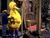 BigBird.jpg