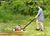 Mowinggrass.jpg