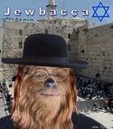 Jewbacca.jpg