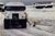 Churchill-polar-bears.jpg