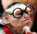 Monkey Nerd with Glasses.jpg
