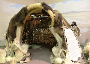 Mammoth-Bone-House.jpg