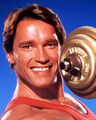 Arnold-weight.jpg
