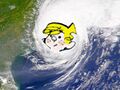 HurricaneDennisMenace.jpg
