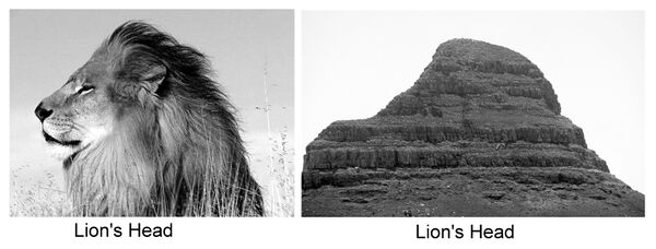 Lion's Heads.jpg