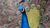 Peacock 580.jpg